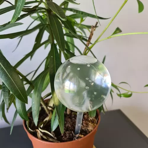 zavlažovanie kvetináča